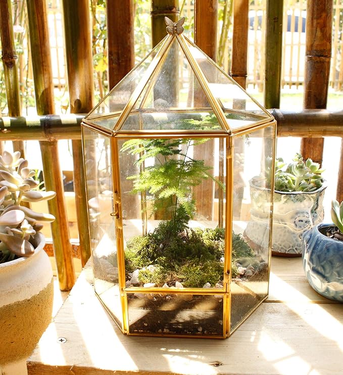 Glass Geometric Plant Terrarium,Succulent & Air Planter for Home Garden Office Decoration,No Plants(Gold Hexagonal)
