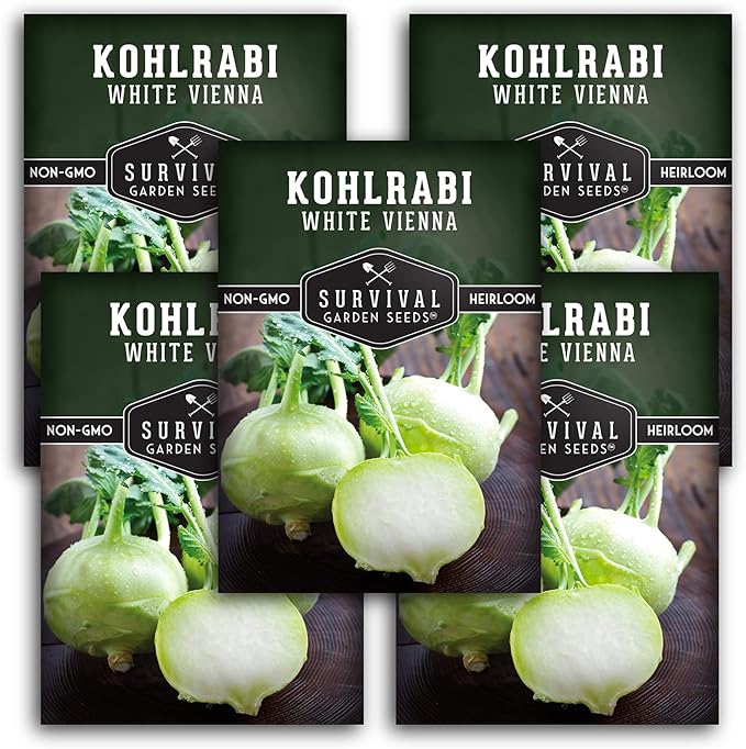 Survival Garden Seeds - White Vienna Kohlrabi Seed for Planting - 5 Packs with Instructions to Plant and Grow Unique Cruciferous Vegetables in Your Home Vegetable Garden - Non-GMO Heirloom Variety