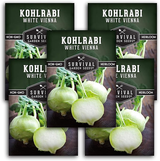 Survival Garden Seeds - White Vienna Kohlrabi Seed for Planting - 5 Packs with Instructions to Plant and Grow Unique Cruciferous Vegetables in Your Home Vegetable Garden - Non-GMO Heirloom Variety