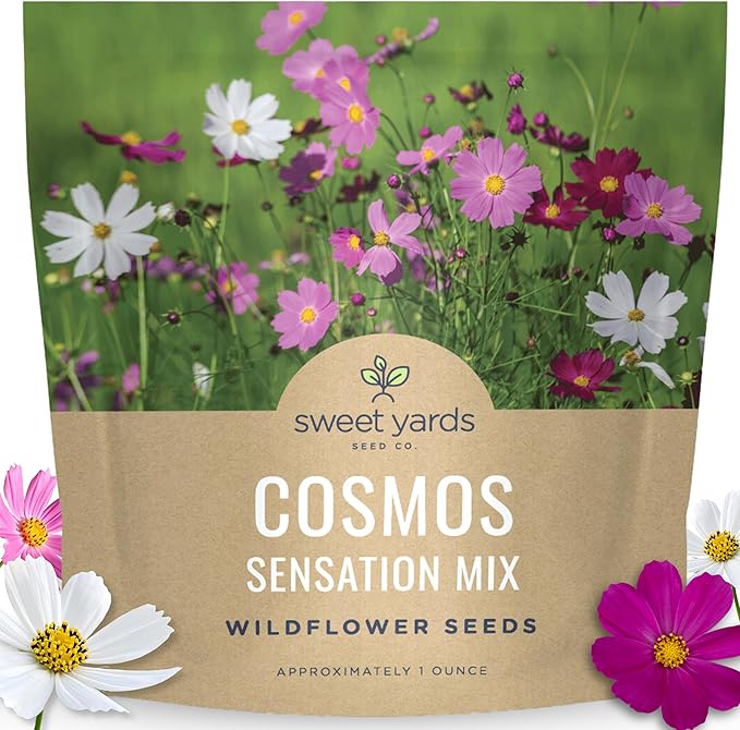 Cosmos Sensation Mix - Large 1 Ounce Packet - 4,000 Flower Seeds for Planting - Cosmos bipinnatus