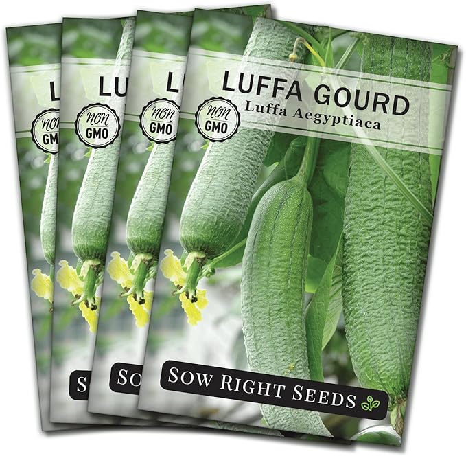 Sow Right Seeds - Luffa Gourd Seed for Planting - Non-GMO Heirloom Packet with Instructions to Plant a Home Vegetable Garden - Grow Your Own Loofah Sponge at Home - Show Off Unique Gourds (4)