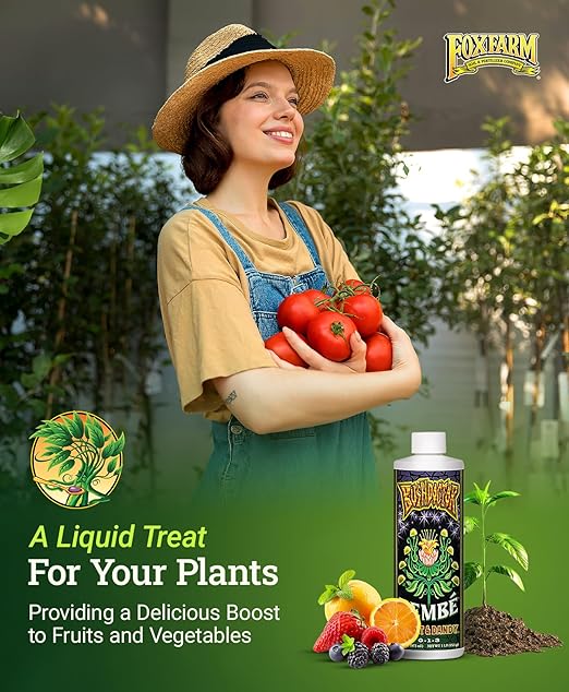 Foxfarm Bushdoctor Bembé Concentrate, Fast-Acting Liquid Plant Fertilizer, Enhances Natural Sugars for Sweetness and Flavor - Easy Absorption for Soil, Containers, and Hydroponics- NPK 0-1-3 (Pint)