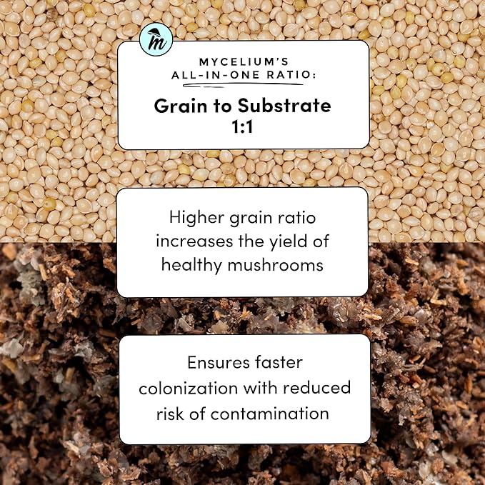Mycelium Gourmet Mushroom All-in-One Bag - Premium Organic 5LB Blend of Oak & Soy Hull Substrate with Sterilized Millet - Perfect for Variety of Wood-Loving Mushrooms - Home Growing Made Easy