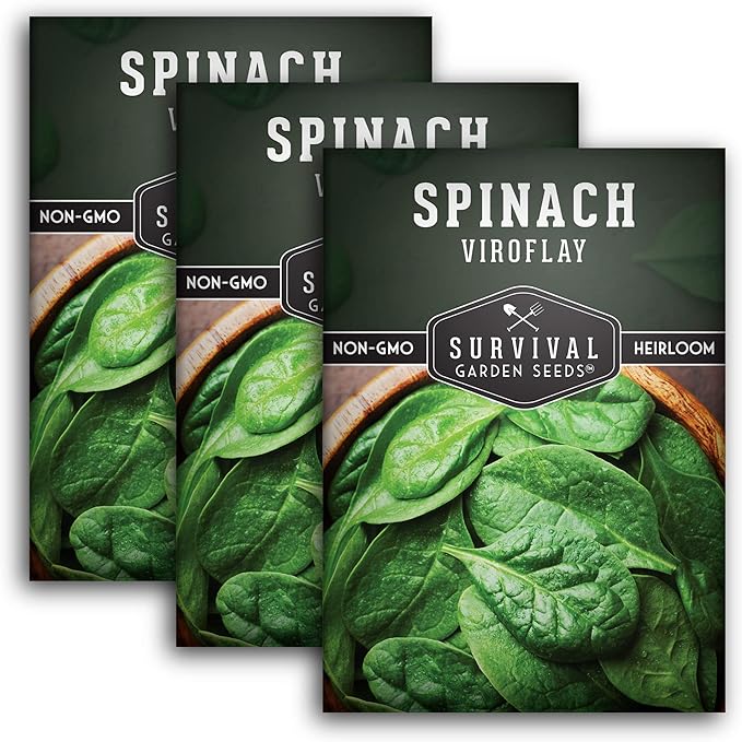 Survival Garden Seeds - Viroflay Spinach Seed for Planting - Packet with Instructions to Plant and Grow Nutritious Leafy Greens in Your Home Vegetable Garden - Non-GMO Heirloom Variety - 3 Pack