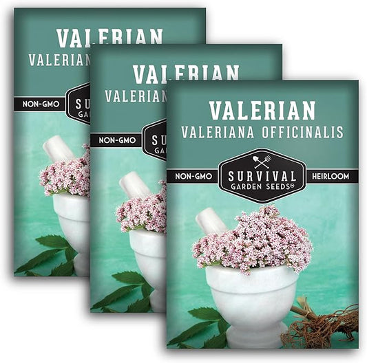 Valerian Seeds for Planting - 3 Packets with Instructions to Plant and Grow Medicinal Herb Valeriana Officinalis in Your Home Herb Garden - Non-GMO Heirloom Variety - Survival Garden Seeds