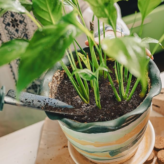 Organic Peace Lily Soil Mix 1qt, Indoor Plants Potting Mix for Planting, Growing, or Repotting Peace Lily Plants, Grow Healthy houseplants Indoors