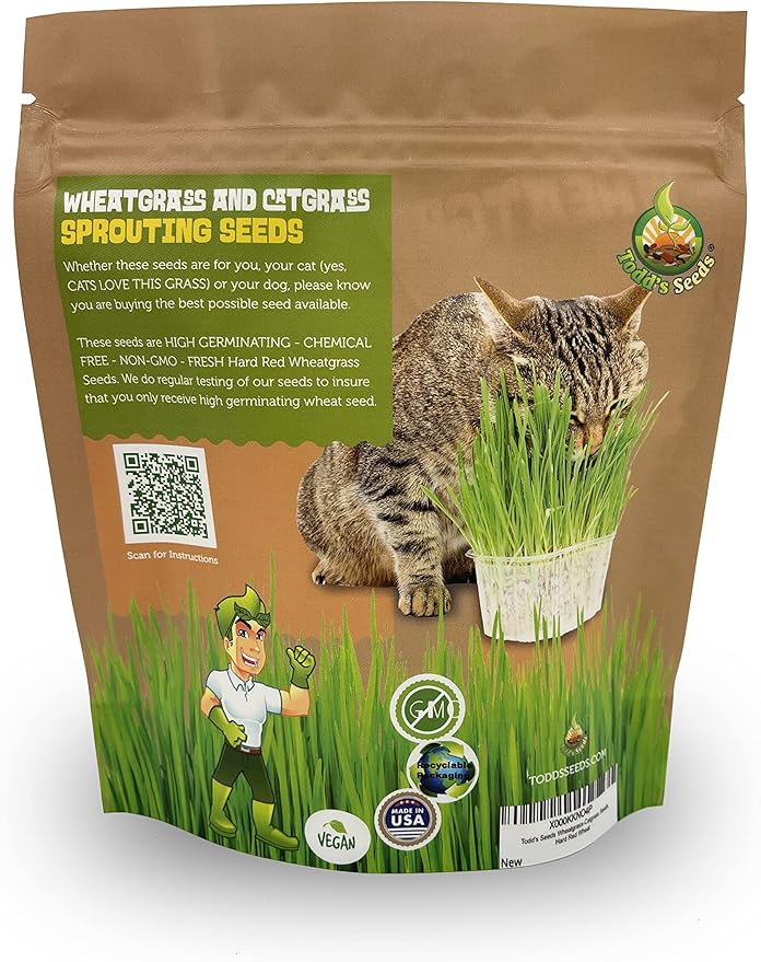 Todd's Seeds - 1 Pound of Wheatgrass Seeds - Non GMO Sprouting Seeds - Grind Into Whole Wheat Flour - Pet Grass - Cat Grass for Indoor Cats - Wheat Grass Seeds