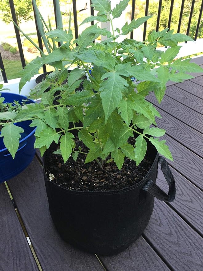 24-Pack 7 Gallon Grow Bags, Heavy Duty Thickened Non-Woven Plant Fabric Pots with Reinforced Handles