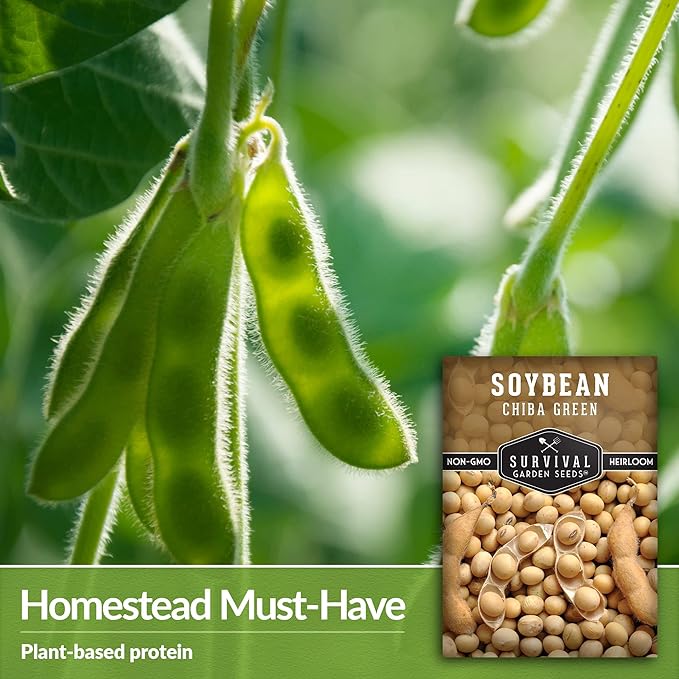 Survival Garden Seeds - Chiba Green Soybean Seed for Planting - 5 Packs with Instructions to Plant and Grow Protein-Rich Edamame Pods in Your Home Vegetable Garden - Non-GMO Heirloom Variety