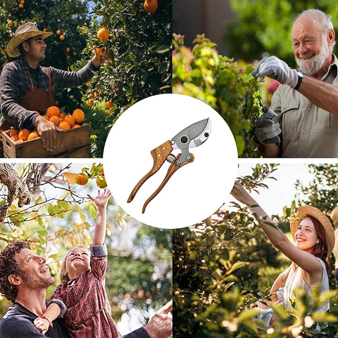 Anvil Pruning Shears [Made in Japan] Heavy Duty Garden Shears Secateurs, Japanese Gardening Scissors Plant Pruners Hedge Clippers, Ergonomic Imitation Wood Grain Aluminum Alloy Handle