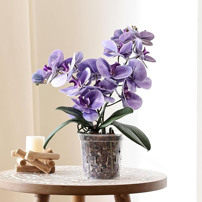 TRUEDAYS Orchid Pot - 6 Pack 4 Inch Clear Plastic Orchid Plant Pots with Drainage Holes for Indoor Outdoor Live Plants for Repotting