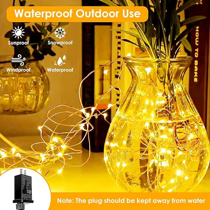 2Pack Each 66Ft 200 LED Fairy Lights Plug in with Remote, Waterproof String Lights Outdoor & Indoor, String Lights 8 Modes with Timer, Twinkle Light for Girl's Room Christmas Decorations (Warm White)