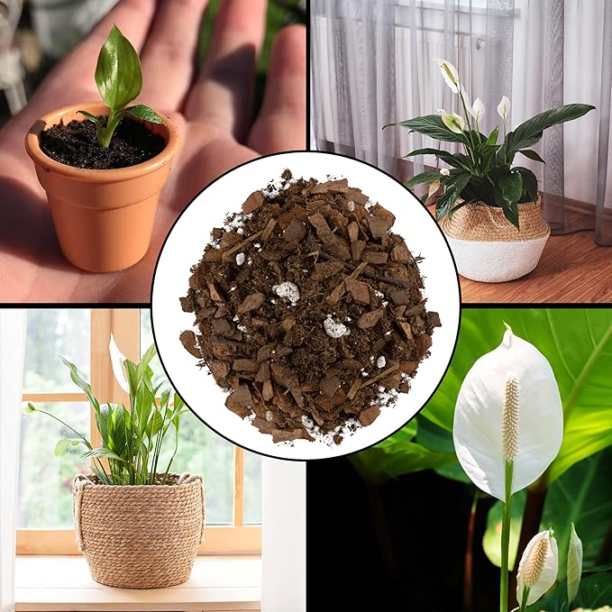 Peace Lily Potting Soil Mix (2 Quarts), for Planting, Growing, or Repotting Peace Lily Plants