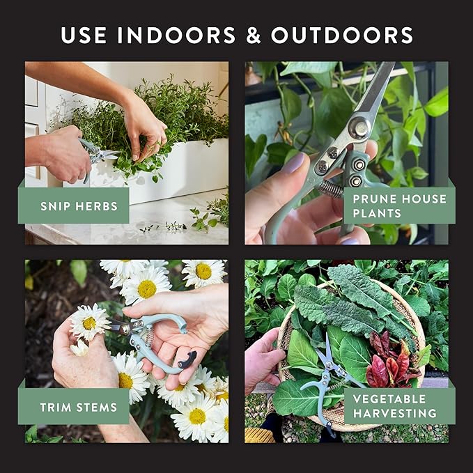 Modern Sprout Pruning Shears for Gardening, Herb Snips, Flower Cutting Scissors, Indoor Plant Shears, Lightweight, Ergonomic, Carbon Steel Blade, Easy-Lock Safety, Aesthetic (Lavender)