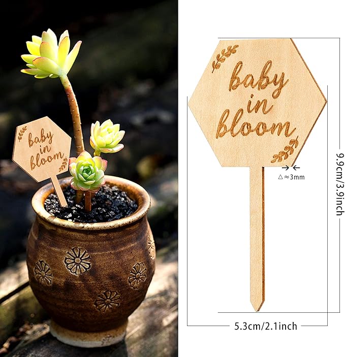 Baby in Bloom Succulent Tags Baby Shower Favors Gifts, PARBEE 20PCS Hexagon Plant Stakes Labels Gift Wooden Garden Stakes Succulent Plant Markers