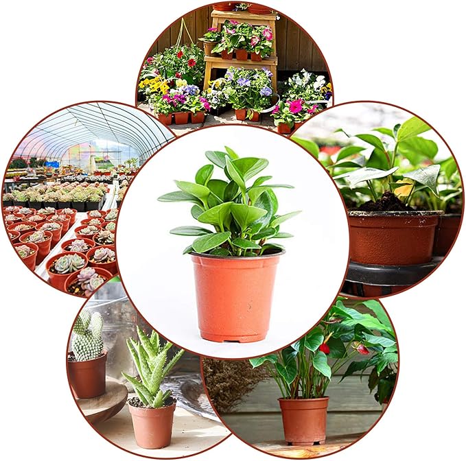Augshy 130 Packs 6 Inches Plastic Plant Nursery Pots, Seed Starting Pot Flower Container for Succulents, Seedlings, Cuttings, Transplanting, Planter Home Docer.