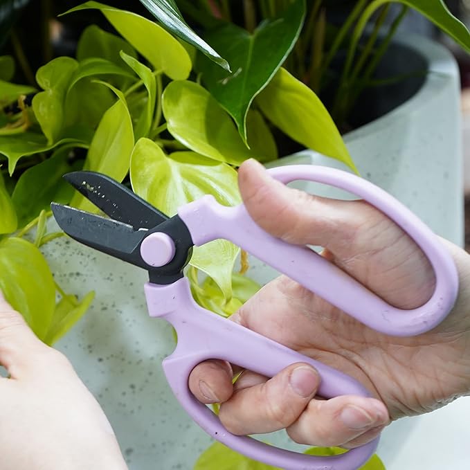 Flower or Garden Scissors with Black Carbon Steel Blades 6.7 Inch, Snapdragon (Lavender)