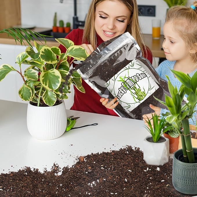 Premium Lucky bamboo Soil Mix 4qt, Indoor Plants Potting Mix for All Potted Luncky bamboo, Promote Healthy Growth and Longevity