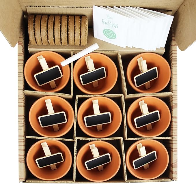 Buzzy 9 Large Terracotta Pot Organic Herb Garden Gift Box, Best Present for Gardeners - Mother's Day or Easter Plant Gift for Mom - Rosemary, Basil and Other Seeds Included in The Indoor Planter kit.