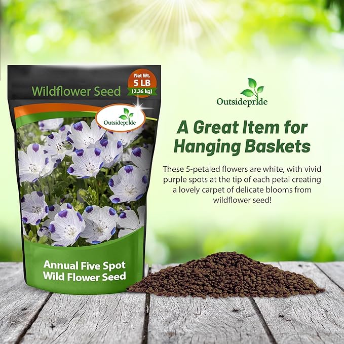 Outsidepride 5 lb. Annual Nemophila Five Spot Wild Flower Seeds for Planting