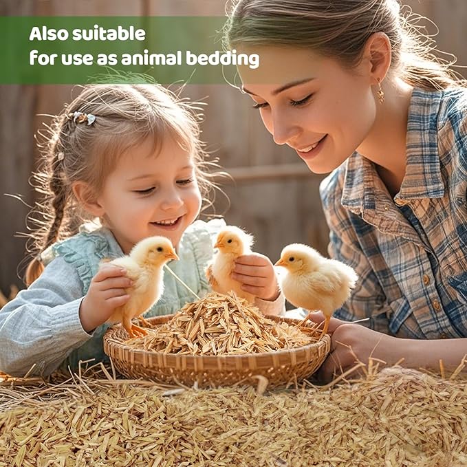 Rice Hulls for Gardening 1qt - Promote Root Development, Water Efficiency, and Disease Resistance