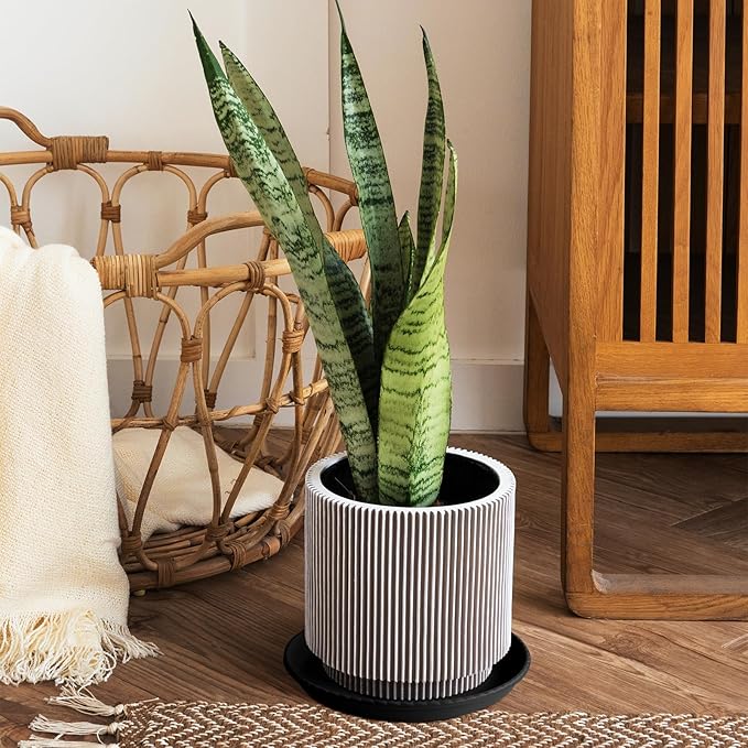 MUDEELA 6 Pack of 15 inch Plant Saucer, Durable Plastic Plant Trays for Indoors, Black Plastic Flower Plant Pot Saucer, Made of Thicker, Stronger Plastic, with Taller Design