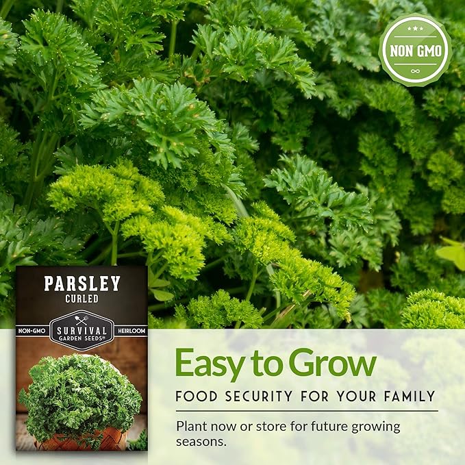 Survival Garden Seeds - Curled Parsley Seed for Planting - 3 Packs with Instructions to Plant and Grow Nutritious Curly Parsley Herb Plants in Your Home Vegetable Garden - Non-GMO Heirloom Variety
