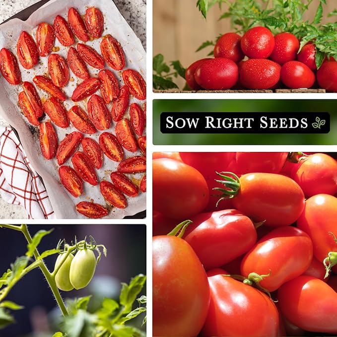 Sow Right Seeds - Roma Tomato Seeds for Planting - Non-GMO Heirloom Packet with Instructions to Plant a Home Vegetable Garden - Classic Medium Red Tomato - Great for Sauce Making (2)