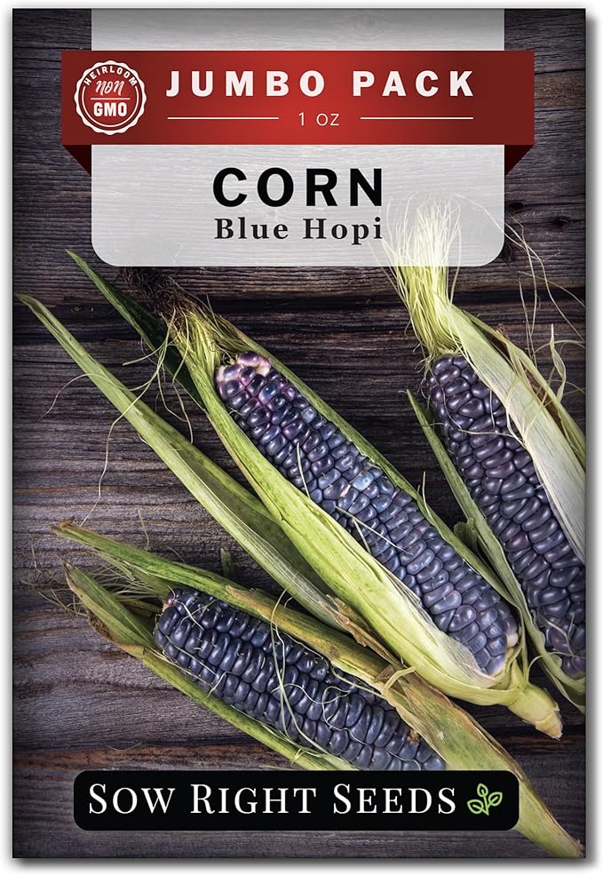 Sow Right Seeds - Bulk Blue Hopi Corn Seeds for Planting - 1 Ounce, 85 Seeds - Non-GMO Heirloom Jumbo Pack Grow an Outdoor Home Vegetable Garden - Grow Loads of Corn to Eat or Use as Ornamental