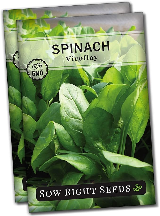 Sow Right Seeds - Viroflay Spinach Seed for Planting - Non-GMO Heirloom Packet with Instructions to Plant a Vegetable Garden - Grow Leafy Green Nutritious Superfood - Hydroponic Growing Friendly (2)