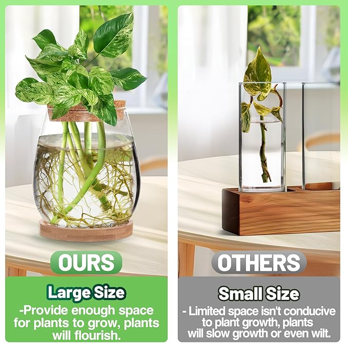 Plants Propagation Station - 2Pcs Desktop Plant Terrarium Glass Hydroponic Vases, Water Plant Propagating Jars, Gardening Gifts for Women Mom Plant Lovers (Water Drop Shape, Separated Tray Style)