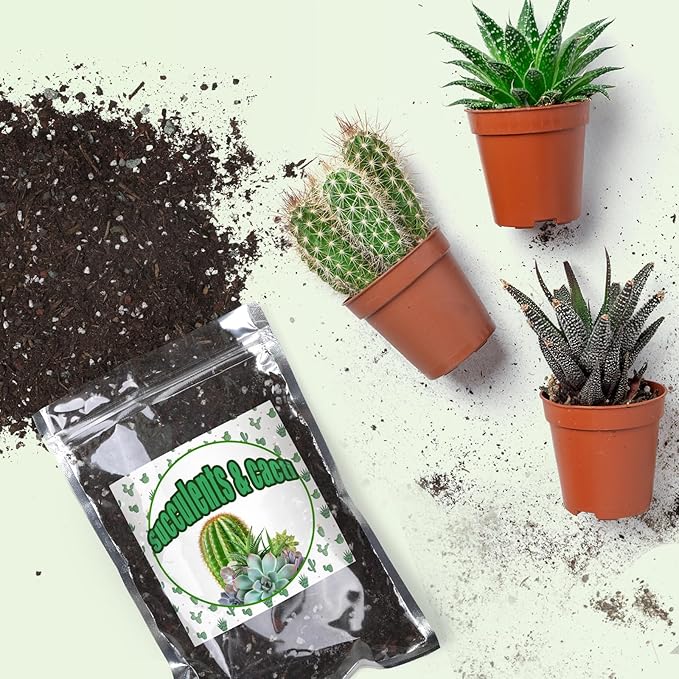 Cactus and Succulent Soil Potting Mix 1qt, Well Draining Chunky Soil Mix for Indoor Plants, Gritty Soil for Healthy Indoor Plants - Spike & Bloom