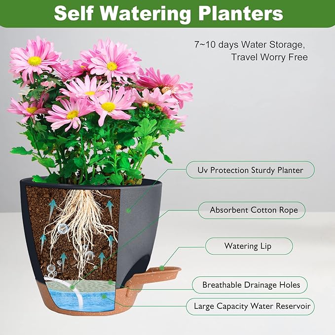 Plant Pots Pack of 5, 7/6.5/6/5.5/5 Inch Self Watering Planters with Drainage Hole Planter for Indoor Plants, Planting Pots for African Violet, Ochid and House Plants (Black)