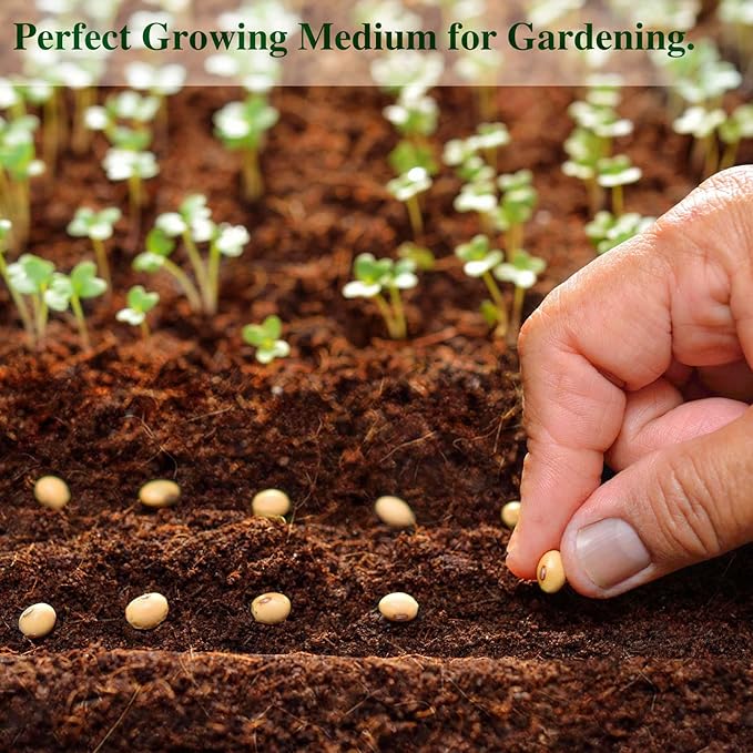 ZeeDix Premium Compressed Coco Coir Brick Each Brick=2.4Gallons Coconut Coir Potting Soil for Planting, 1.4Lbs Coco Block with Low EC and pH Balance for Gardening Plants Flower Herbs and Vegetables