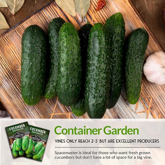 1 Pack Spacemaster Cucumber Seed for Planting - Packet with Instructions to Grow Container Friendly Cucumbers in Your Home Vegetable Garden - Non-GMO Heirloom Variety - Survival Garden Seeds
