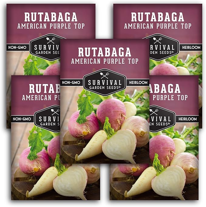 Survival Garden Seeds - 5 Packs American Purple Rutabaga Seed for Planting with Instructions to Grow Brassica Napus in Your Home Vegetable Garden - Non-GMO Heirloom Variety