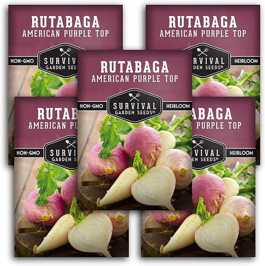Survival Garden Seeds - 5 Packs American Purple Rutabaga Seed for Planting with Instructions to Grow Brassica Napus in Your Home Vegetable Garden - Non-GMO Heirloom Variety