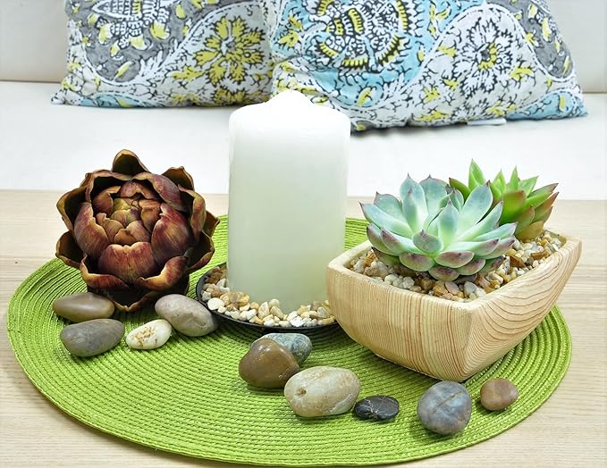 Costa Farms Echeveria Succulents Fully Rooted Live Indoor Plant 6-Inches Tall, in Grower Pot, 3-Pack