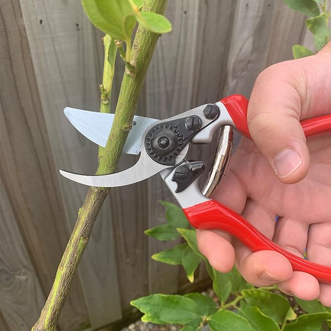 Spear & Jackson 6959BS Razorsharp Professional Ergonomic Handle Bypass Pruner