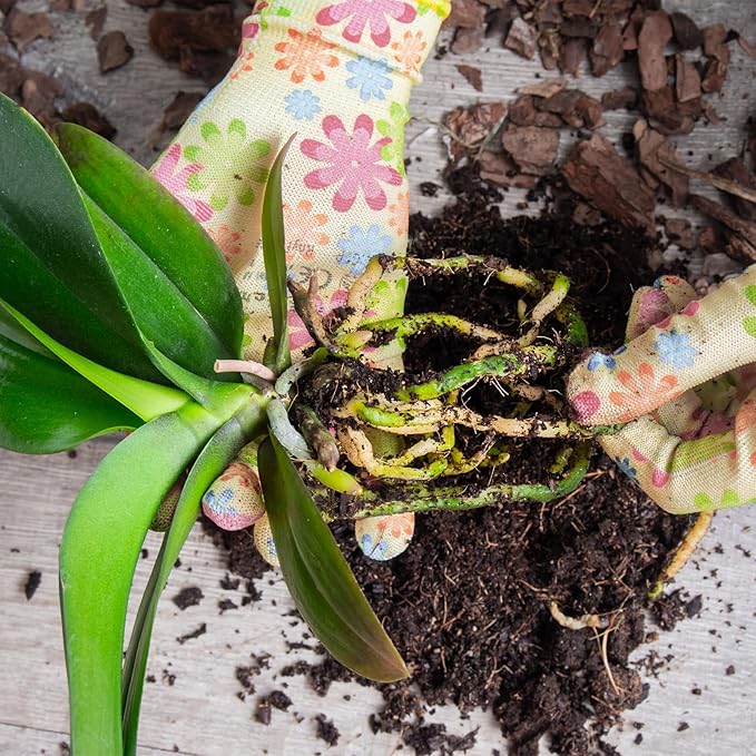 Pine Bark 10qt for Orchid Potting Mix, Organic Tree Bark Mulch for Potted Plants, Enhanced Drainage, Air Flow & Root Ventilation, Ideal for Phalaenopsis, Cattleyas, Dendrobiums