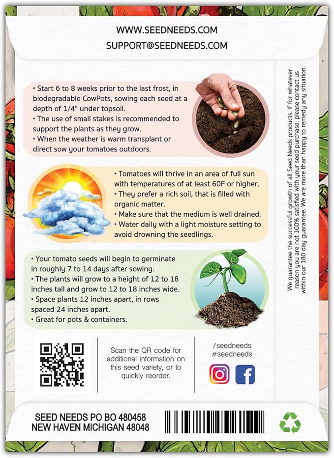 Seed Needs Tiny Tim Tomato Seeds for Planting - Non-GMO, Heirloom & Untreated - Organically Grow an Outdoor Vegetable Garden - Dwarf Plants Produce Cherry Tomatoes (1 Pack)