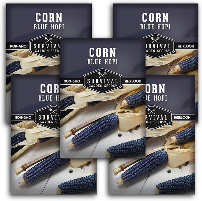 Blue Hopi Corn Seeds for Planting - 5 Packets with Instructions to Plant and Grow Heritage Blue Maize in Your Home Vegetable Garden - Non-GMO Heirloom Variety - Survival Garden Seeds