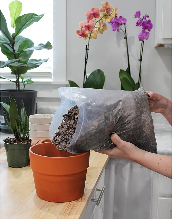 All Purpose Orchid Mix Potting Soil Indoor Plants (2 Quarts), Orchid Bark & Organic Perlite for Plants - Succulent Soil Potting Mix Indoor - Orchid Soil