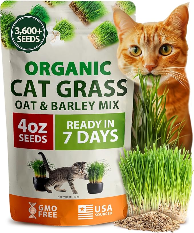 HOME GROWN Organic Cat Grass Seeds Pack (4oz) - Non-GMO Heirloom Cat Grass Seeds for Indoor Cats - Oat and Barley Pet Grass - Hairball Relief
