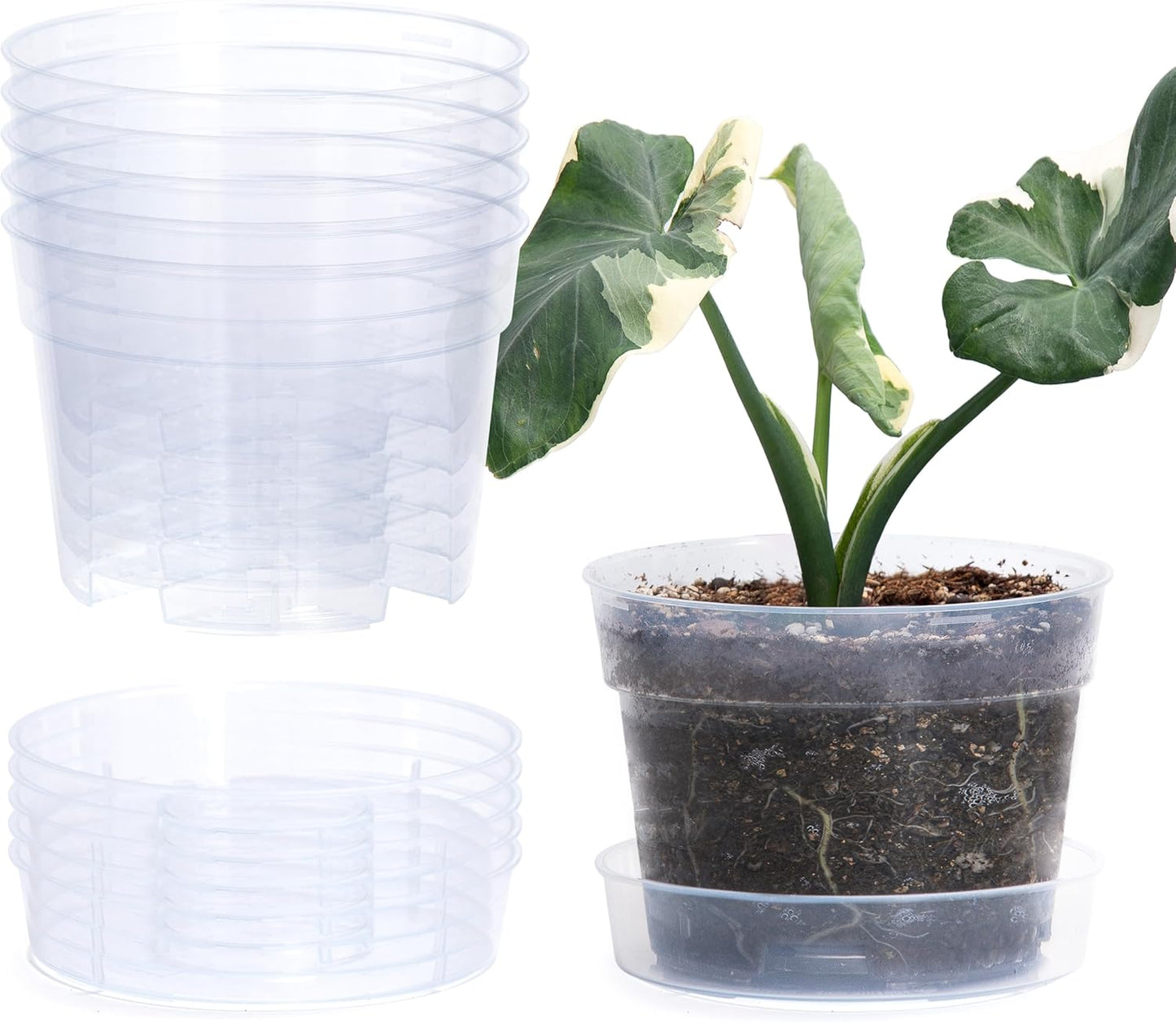 6 Inch Clear Plastic Plant Pot with Drainage Holes, Interlocking & Detachable Tray - Deep Saucer - Durable BPA-Free Plastic, Transparent Design, Raised Base for Airflow, Set of 6, 92-X-A-4