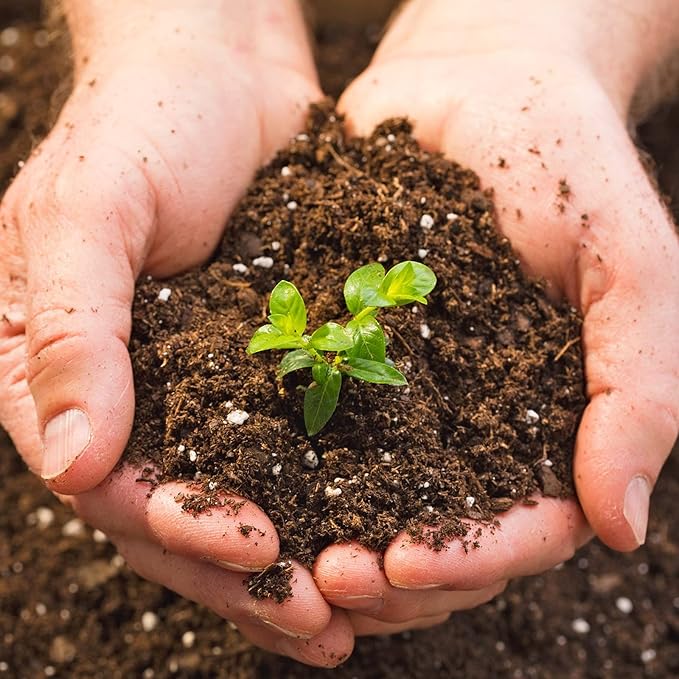 Halatool 10 QT Organic Aloe Plant Soil Potting Mix Garden Top Succulent Soil for Indoor & Outdoor Plants Bonsai Cactus Soil Potting Mix for Houseplants Flowers Vegetables & Herbs