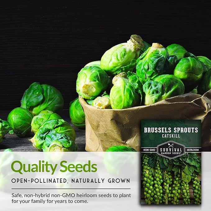 Survival Garden Seeds - Catskill Brussels Sprouts Seed for Planting - Packet with Instructions to Plant and Grow Tasty Cruciferous Vegetables in Your Home Vegetable Garden - Non-GMO Heirloom Variety