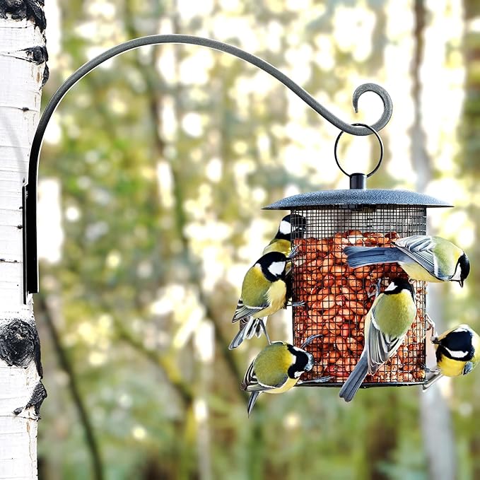 Qiang Ni Heavy-Duty Plant Hanger Outdoor: Hanging Plant Hook for Outside Basket - 22-Inch Wall Mount Plant Bracket for Bird Feeder…