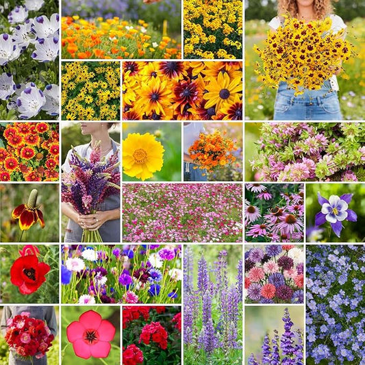 Eden Brothers Western Wildflower Mixed Seeds for Planting, 50 lb, 24,000,000+ Seeds with Cornflower, Blanket Flower | Attracts Pollinators, Plant in Spring or Fall, Zones 3, 4, 5, 6, 7, 8, 9, 10