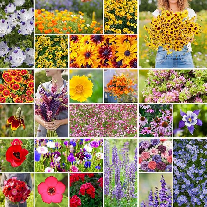 Eden Brothers Western Wildflower Mixed Seeds for Planting, 5 lb, 2,400,000+ Seeds with Cornflower, Blanket Flower | Attracts Pollinators, Plant in Spring or Fall, Zones 3, 4, 5, 6, 7, 8, 9, 10